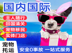 阿荣机场邮寄国际宠物托运 【国